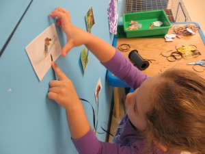 IMG_0349