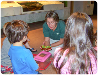 ecozone-museum-03